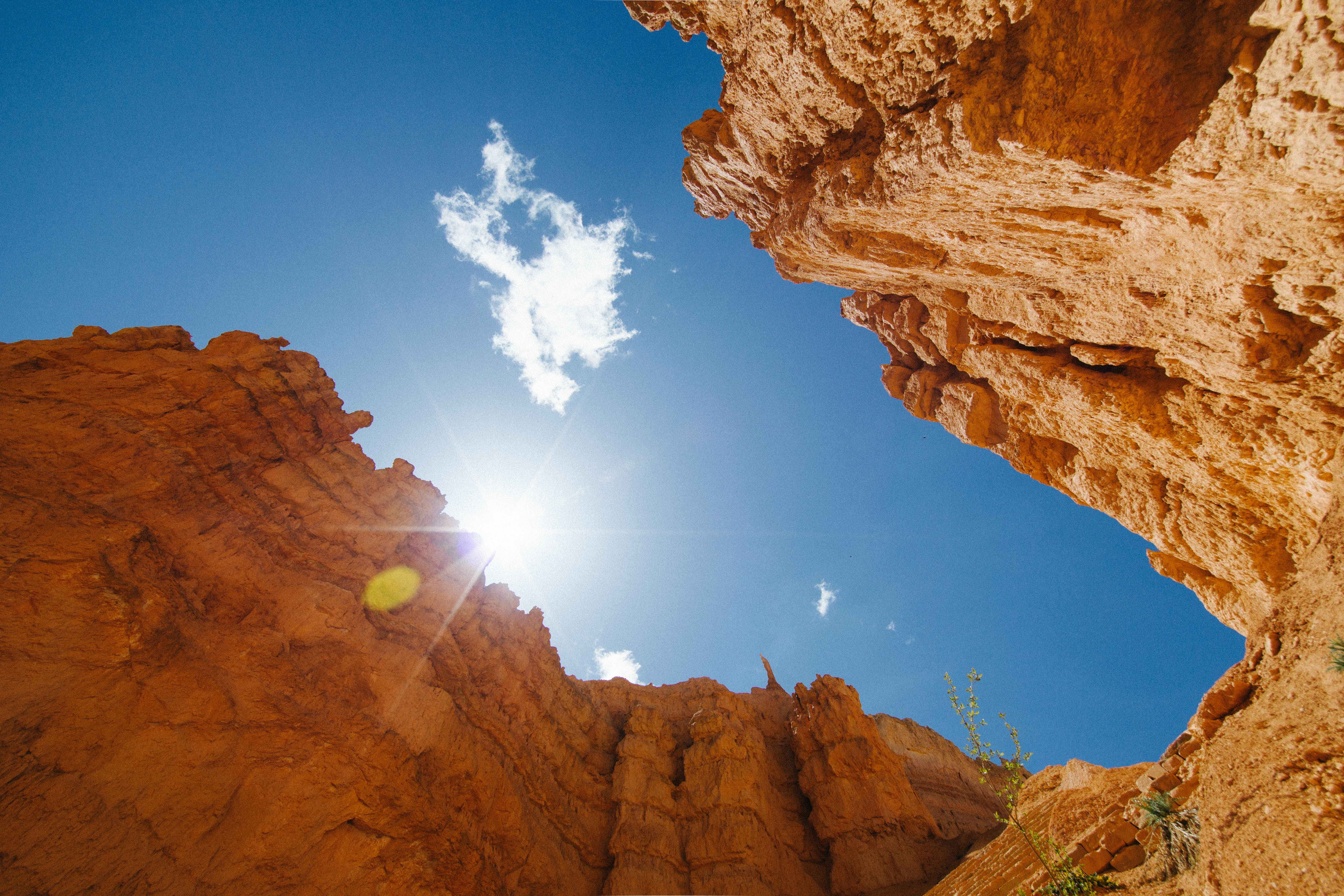 Scale your Business: bryce canyon national park
