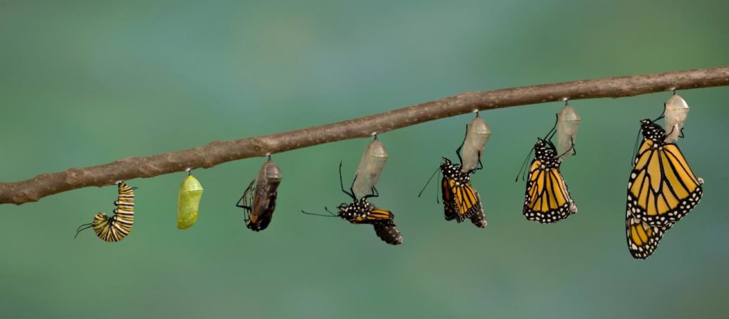 corporate transformation