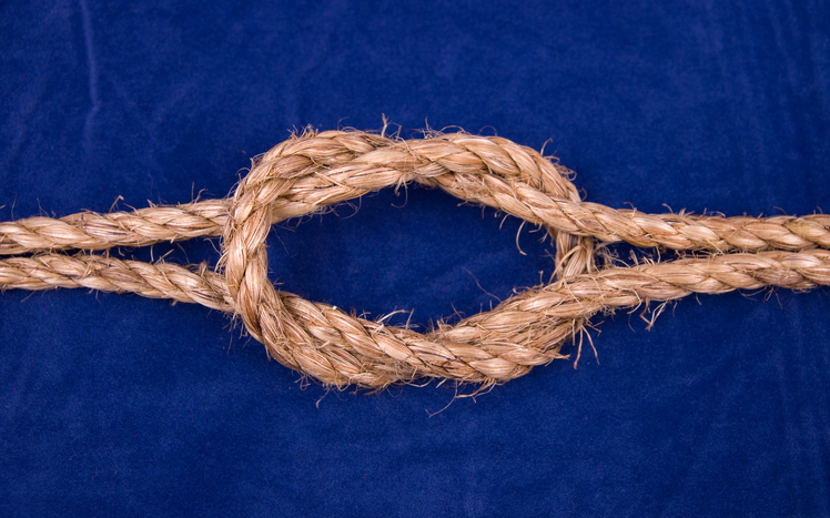 merger integration: rope in a knot