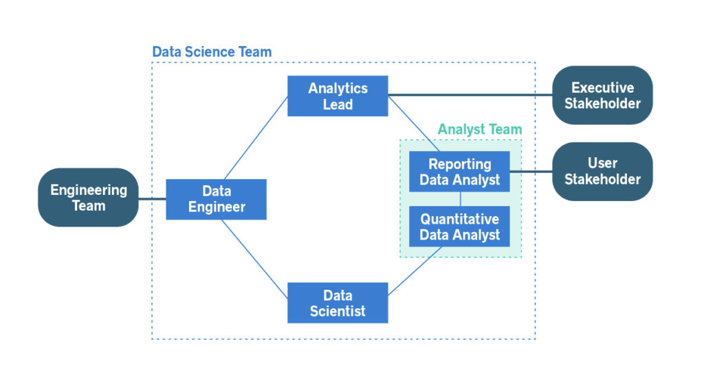 chart: data science team roles and responsibilities