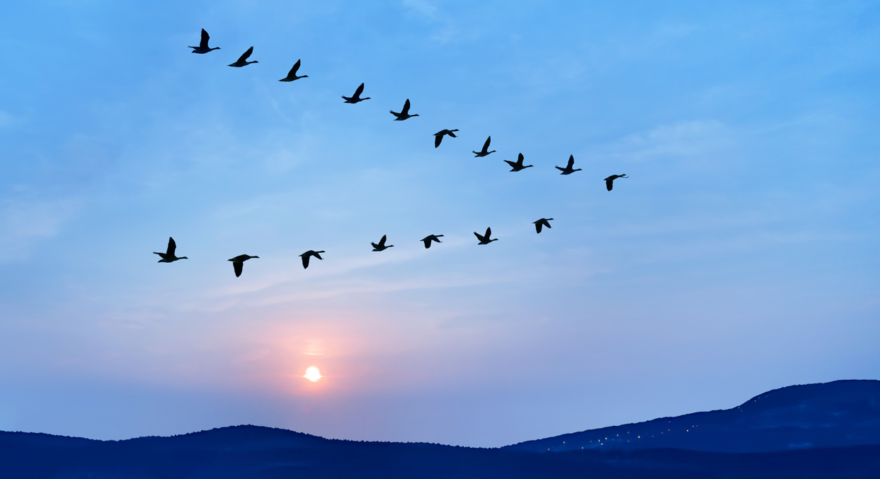 Fostering Strategic Alignment in a New Leadership Role